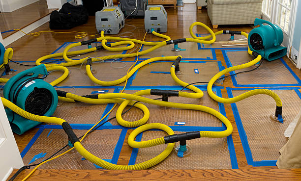 Professional Structural Drying And Dehumidification technician working in Maeystown, IL
