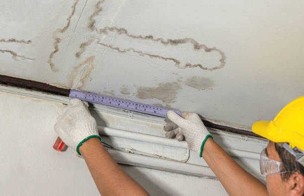 Affordable Water Damage Repair solutions in Maeystown, IL